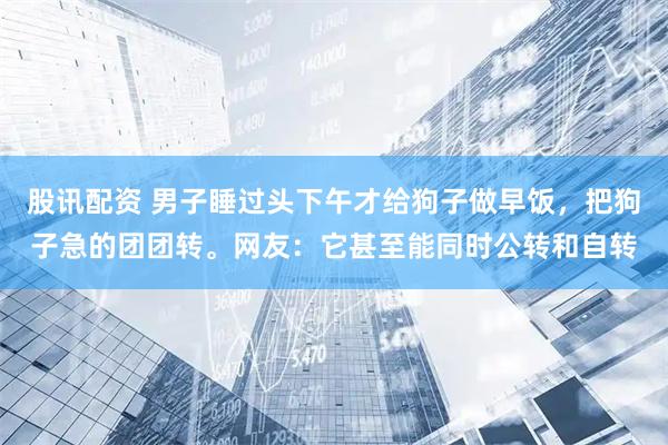 股讯配资 男子睡过头下午才给狗子做早饭，把狗子急的团团转。网友：它甚至能同时公转和自转