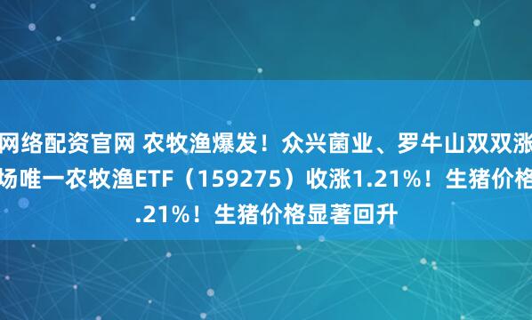 网络配资官网 农牧渔爆发！众兴菌业、罗牛山双双涨停，全市场唯一农牧渔ETF（159275）收涨1.21%！生猪价格显著回升